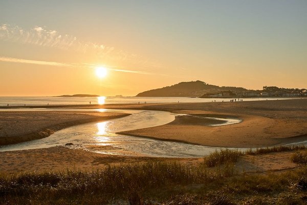 Quelles actions entreprendre lorsque les toilettes sont obstruées ?