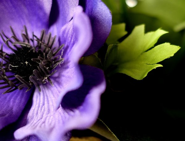 Comment garder l'aspect de vos plantes artificielles comme des vraies ?