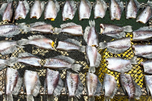 Comment maintenir l'apparence authentique de vos plantes artificielles ?